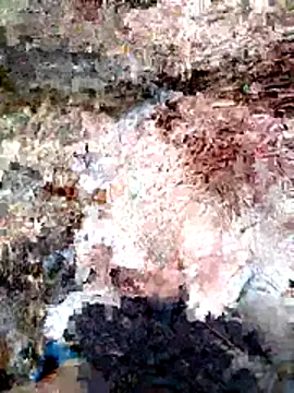 ParejaSutra69 online show from 01-08-26, 10:56