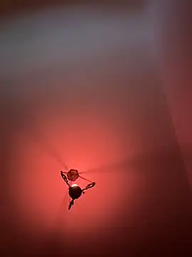 Snapshot of witchdub chatting on 02-18-26, 04:47 witchdub online show from 02-18-26, 04:47