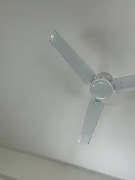 Cutenikkibaby online show from 02-23-26, 06:33