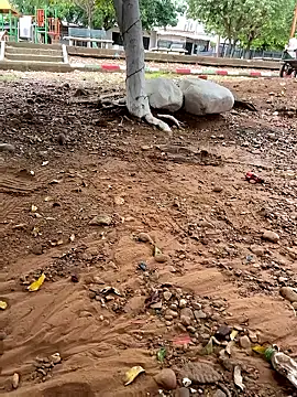 lunarous98 online show from 01-13-26, 05:18