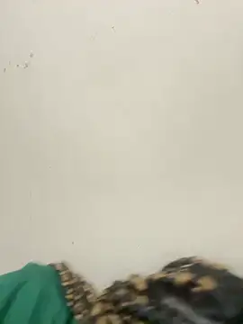 diosa sofia19 online show from 04-06-26, 02:31