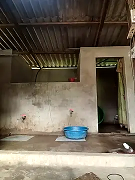 -Likin- online show from 03-31-26, 09:32