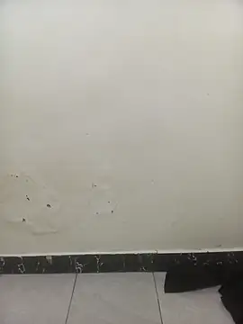 PatriciaVen online show from 02-03-26, 06:22