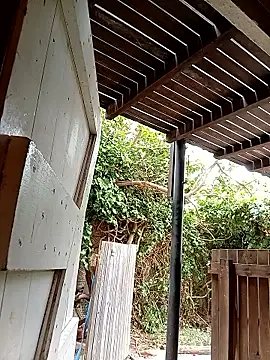 Snapshot of dicklife3485 chatting on 02-24-26, 08:23 dicklife3485 online show from 02-24-26, 08:23