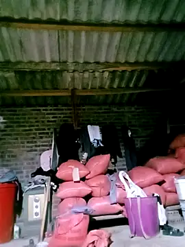 Diana-02 online show from 04-04-26, 11:51