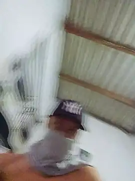 Snapshot of novinho_br29 chatting on 02-17-26, 08:04 novinho br29 online show from 02-17-26, 08:04