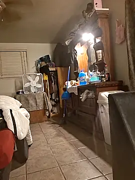 LadySn0w26 online show from 04-11-26, 02:27