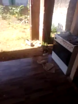 jhon Danda online show from 01-17-26, 01:27