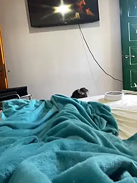 Cofla21cmm online show from 01-17-26, 02:33