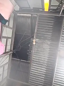 maisamim2 online show from 03-21-26, 07:35