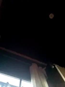 pleujunior online show from 02-11-26, 10:15