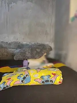 Snapshot of Iam_AlexandraRey chatting on 02-03-26, 07:02 Iam AlexandraRey online show from 02-03-26, 07:02