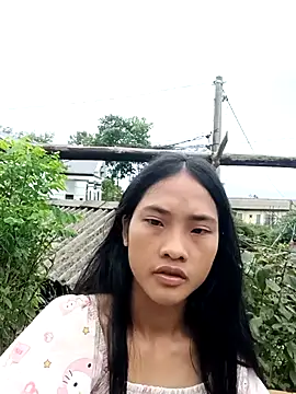 Hoa-tuylip online show from 07-29-26, 07:17