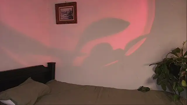 slowburnmystic online show from 04-11-26, 10:14