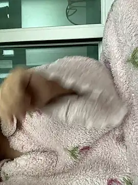 Snapshot of wjddjwjd chatting on 02-06-26, 11:52 wjddjwjd online show from 02-06-26, 11:52