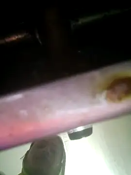 khushi rawat online show from 02-12-26, 02:17