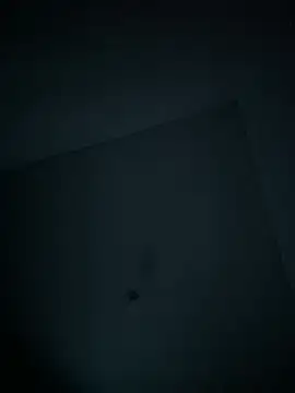 dominick fran online show from 02-11-26, 11:10