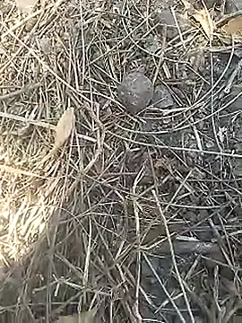 Cute Boy 4 online show from 04-02-26, 07:28