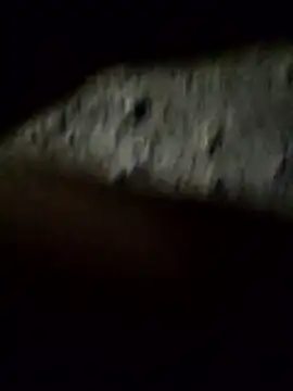 Snapshot of crazyxy12 chatting on 02-08-26, 03:48 crazyxy12 online show from 02-08-26, 03:48