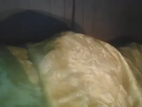 Prikev38452 online show from 04-11-26, 06:07