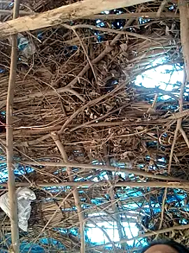 Rajni248096 online show from 03-12-26, 07:58