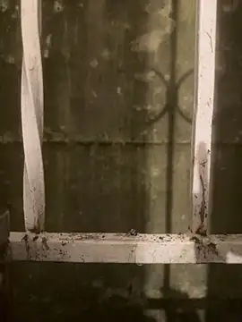 Diggaoder online show from 04-21-26, 03:46