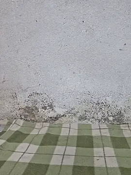 Mey mey2k3 online show from 03-18-26, 04:48