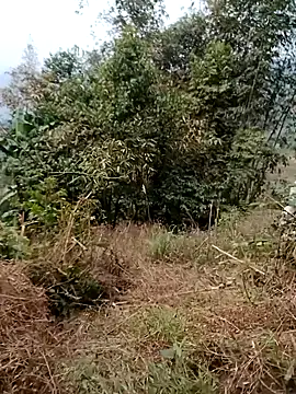 Snapshot of sushi-asa chatting on 02-24-26, 01:47 sushi-asa online show from 02-24-26, 01:47