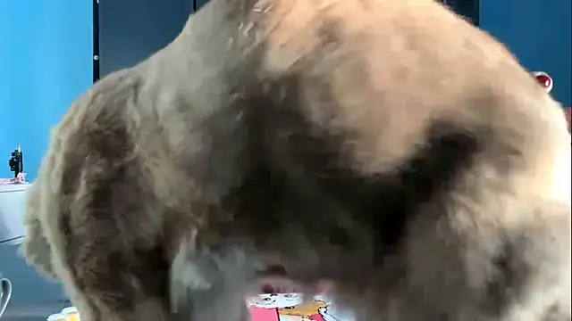 Snapshot of AndreeMerryman chatting on 02-05-26, 08:08 AndreeMerryman online show from 02-05-26, 08:08