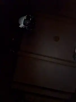 Dutch20Cock online show from 03-12-26, 08:15