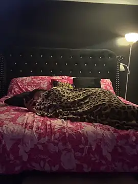 tipheragain online show from 04-26-26, 05:49