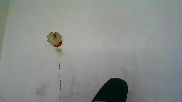 NickiKisinger online show from 05-15-26, 07:26