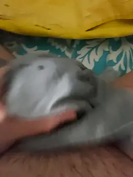 birzevkmeselesi online show from 02-10-26, 08:57