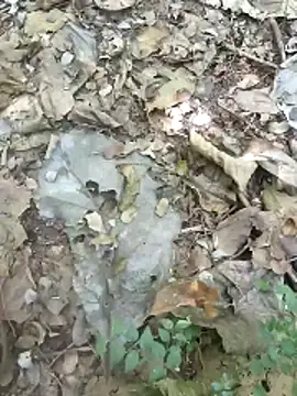 kalai 32 online show from 02-04-26, 06:19