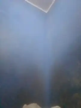 S7LEALTADPERVLIMA7 online show from 04-12-26, 06:02