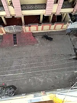 Snapshot of Castrol1289 chatting on 02-11-26, 03:00 Castrol1289 online show from 02-11-26, 03:00