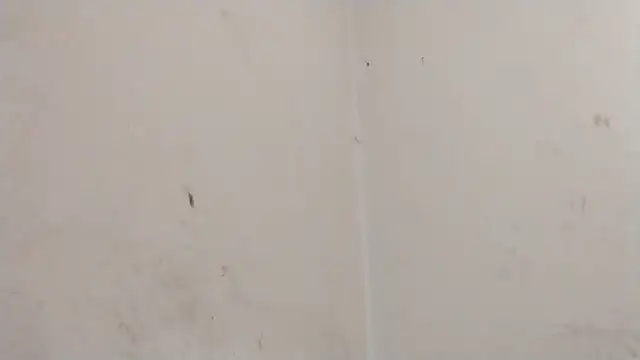 MisterSnowww online show from 03-06-26, 09:55