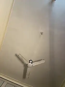 torchermachine online show from 04-08-26, 08:20