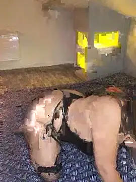 joujou95012 online show from 04-15-26, 07:43