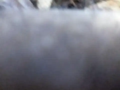 Snapshot of Joecool1009 chatting on 02-03-26, 12:31 Joecool1009 online show from 02-03-26, 12:31