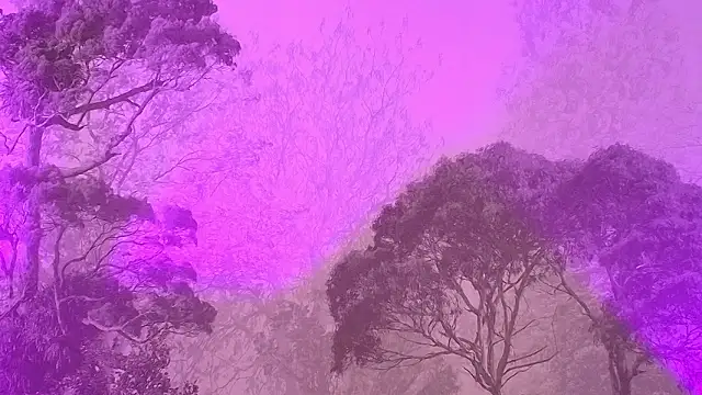 Elizabeth Ferrer online show from 03-16-26, 12:09