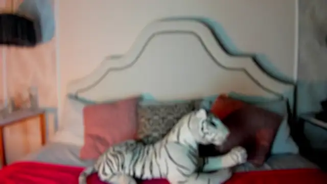 niicole garner online show from 02-11-26, 04:34