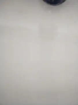 macariocb online show from 02-08-26, 02:20