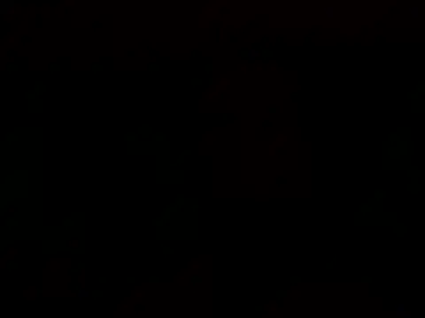 Snapshot of Tommyzzzzzz chatting on 12-29-24, 02:17 Tommyzzzzzz online show from 12-29-24, 02:17