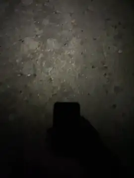 Snapshot of stallone_italiano_62 chatting on 02-17-26, 11:22 stallone italiano 62 online show from 02-17-26, 11:22