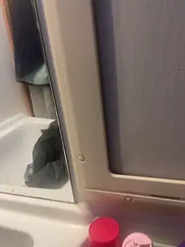 Snapshot of stallone_italiano_62 chatting on 02-26-26, 06:56 stallone italiano 62 online show from 02-26-26, 06:56