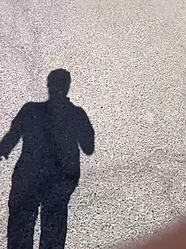 stallone italiano 62 online show from 03-17-26, 11:24