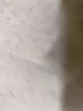 Snapshot of chennai_sexyboy chatting on 02-08-26, 04:32 chennai sexyboy online show from 02-08-26, 04:32