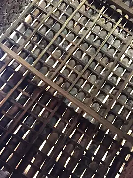 Snapshot of novinhavip777 chatting on 02-09-26, 02:10 novinhavip777 online show from 02-09-26, 02:10