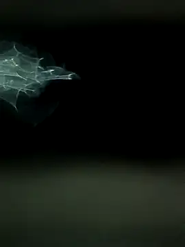 maharashtra boy mh19 online show from 03-18-26, 08:45